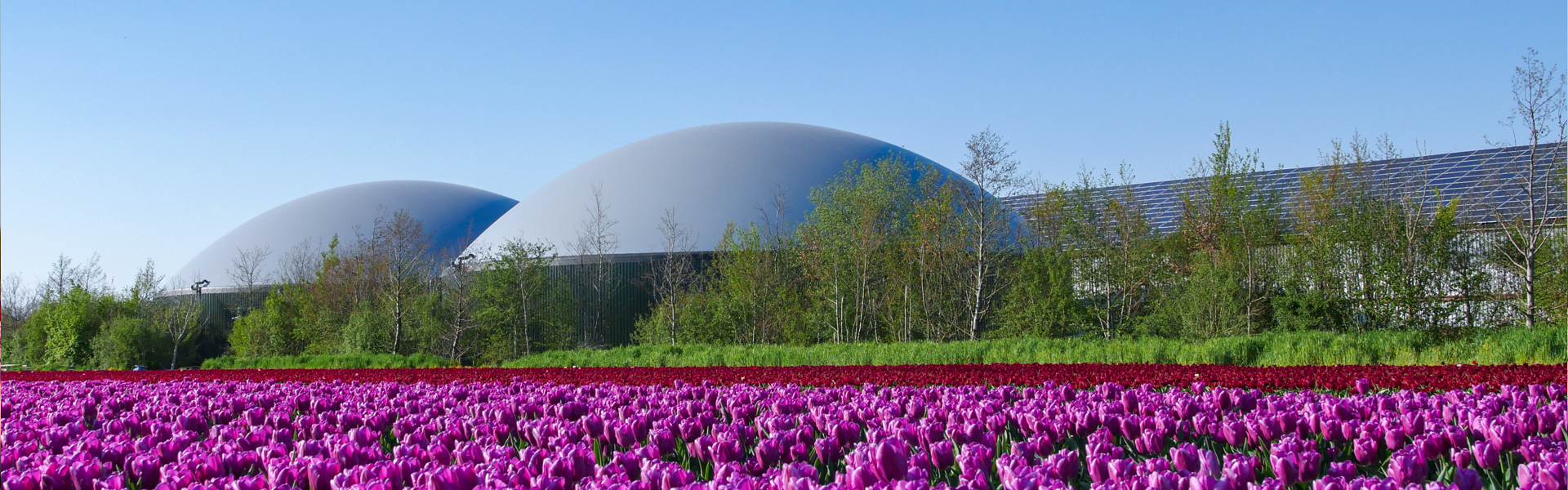 FD: grote energiebedrijven storten zich op de productie van groen gas